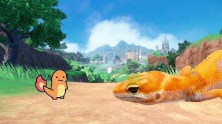 pokemon battle  charmander