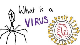 A really brief intro to viruses