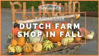 Dutch Farm Pumpkin & Flower Shopping in Oud Gastel