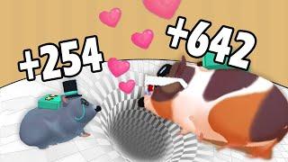Hamster Maze in Max Level Gameplay - Molbile Game Walkthrough Part 7