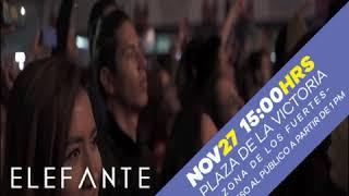 EVENTO 40 ELEFANTE 1X1