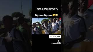 *IGWIJO* Bavuleleni bahambeNguwe Nguwe JL Zwane FC Sparks and Pedro Ezase 2sec 