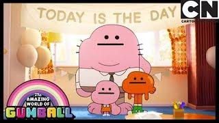 Gumball  Happy Today To Nicole  The Fuss  Cartoon Network