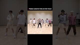 DESI CARATS THIS IS FOR YOU #seventeen #kpop #kpopshorts #viral #desi #carat #_world