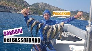 PescaSub Saraghi nel Bassofondo