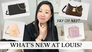 WHAT’S NEW AT LOUIS? Latest Louis Vuitton Handbags and Small Leather Goods  Best or Worst LV Bags?