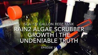 SCA 120 Gallon Reef  Ep.11  Rain2 Algae Scrubber Growth - The Undeniable Truth
