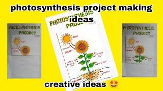 photosynthesis project making ideas  how to photosynthesis drawing  photosynthesis diagram