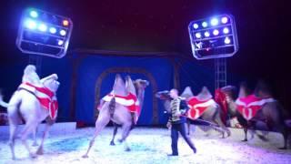 Rewind Media - Circus WeronA Promotion Video