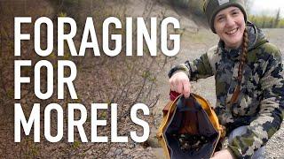 Lets Go Morel Mushroom Hunting Tips for Finding Identifying and Harvesting