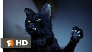 Scary Movie 2 711 Movie CLIP - My Pussys Gone Crazy 2001 HD