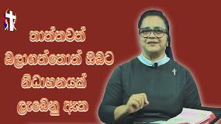 Thought For The Day  දවසේ සිතුවිල්ල  15052023  Sinhala තාත්තව රැකබලාගත්තොත් ඔබට නිධානයක් ලැබෙනු ඇත