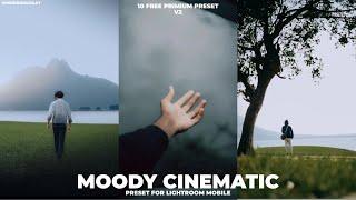 Mr Yuzdan Moody Cinematic v2  Free 10 Lightroom Mobile Preset