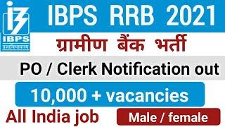 IBPS RRB notification 2021  IBPS RRB recruitment  IBPS clerk vacancy  bank PO notification 2021 