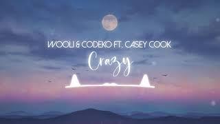 【Nightcore】Crazy  Wooli & Codeko ft. Casey Cook