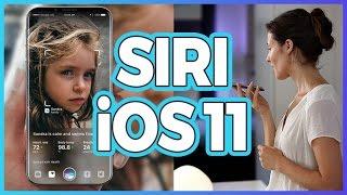 iOS 11 SIRI avrà una funzione RIVOLUZIONARIA