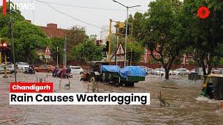 Chandigarh Heavy rain leads to waterlogging