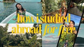 ️ how i studied abroad for free  honest scholarship + financial aid chat