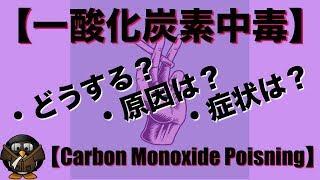 【一酸化炭素中毒】の症状とフライト中に起きた時の対処方法