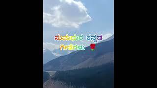 #kannadasongs #oldisgold #romatichits ಸುಮಧುರ ಕನ್ನಡ ಹಾಡುಗಳು. ಹಚ್ಚ ಹಸಿರು ಎಂದೆದಿಗೂ #trending