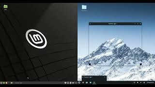 Linux Mint 21 vs Zorin OS 161 Lite