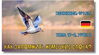  Тема 17-2 Урок 2. ДВИЖЕНИЕ ФРАЗЫ  Уроки Немецкого языка с нуля. Как запомнить немецкие слова?