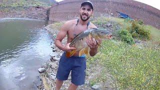 Carp Fishing Gran Canaria - Pesca de Carpa Royal en Canarias