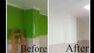 Wagner Control Pro 250M Painting Kitchen From Green To White With HEA Paintspray System