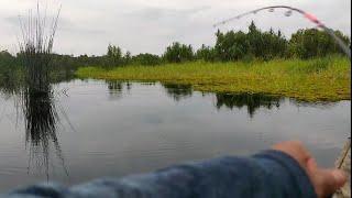 Beruntung ikan nya lagi pada ngumpulsatu tempat bisa dapat puluhan  #119