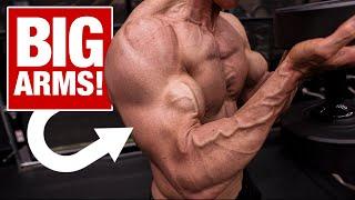 Arm Workout with JUST Dumbbells GET BIG ARMS