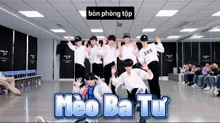 VIETSUB TF Gia Tộc F3  Mèo Ba Tư  Bản phòng tập