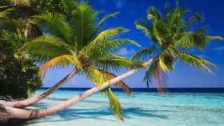 DÉCOUVREZ LES ILES MALDIVES - un endroit paradisiaque sur terre - La terre est ma maison