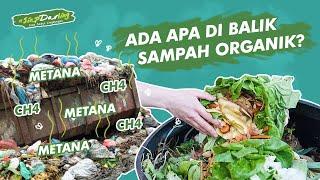 #DarlingInfo - TERNYATA SAMPAH ORGANIK BERMANFAAT