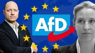 DAS will die AfD bei der Europawahl umsetzen