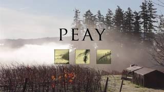 Peay Vineyards   An Introduction