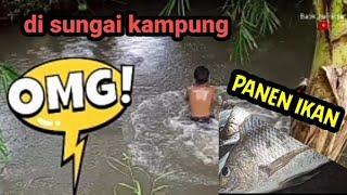 sungai kampung banyak ikannya