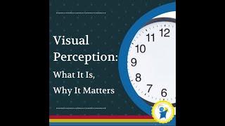 Visual Perception What It Is Why It Matters