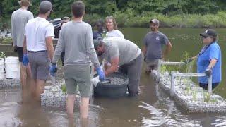 Missouri Department of Conservation & Springfield City Utilities launches new wetland into Fellow...