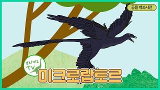 #136 미크로랍토르를 소개합니다. l 검은색 계열의 깃털을 가진 공룡 l 공룡 백과사전  Microraptor