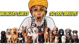 Villagers React to 50 Dog Breeds for the First Time Hilarious Results Tribal People Try