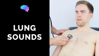 Lung sounds respiratory auscultation sounds  UKMLA  CPSA