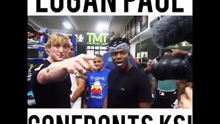 LOGAN PAUL VS KSI   ALL YOU NEED TO KNOW ABOUT THE BIGGEST BOXING SHOWDOWN IN YOUTUBES HISTORY