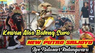 wissss Wayah e ‼️Kewan Alas Banteng Suro ne Mberot_New Putro Srijoyo  Live Bulusari Kedungwaru.