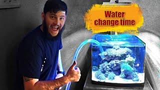 Water changes made easy