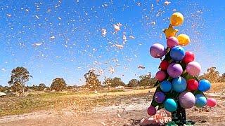 Coca Cola Mentos & Pepsi Christmas Tree