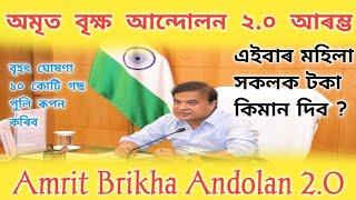 আহি গল লাখ লাখ টকা  Amrit Brikha Andolan 2.0  Amrit Brikha Andolan Assam  এইবাৰ কেনেকুৱা হব ?