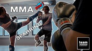 MMA SPARRING MMA Hour NORWAY Team Trondheim Kampsport