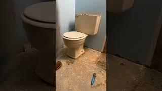 Removing a Toilet A Step-by-Step Guide