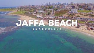 האחים לופו יוצאים לשנרקל חוף יפו  Jaffa beach snorkeling