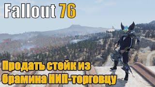 Fallout 76 ежедневные и еженедельные испытания. Продать стейк из брамина НИП-торговцу